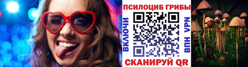 Псилоцибиновые грибы Psilocybe  Купить закладки  Асбест 